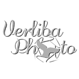 Verliba